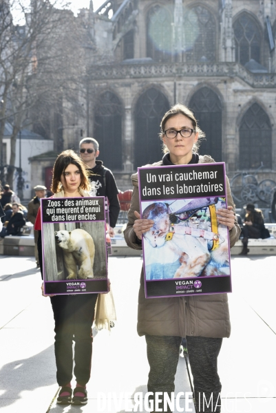 Action cause animale. Happening vegan Impact. Animals rights