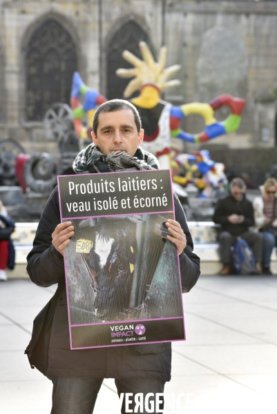 Action cause animale. Happening vegan Impact. Animals rights
