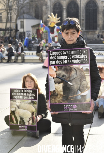 Action cause animale. Happening vegan Impact. Animals rights