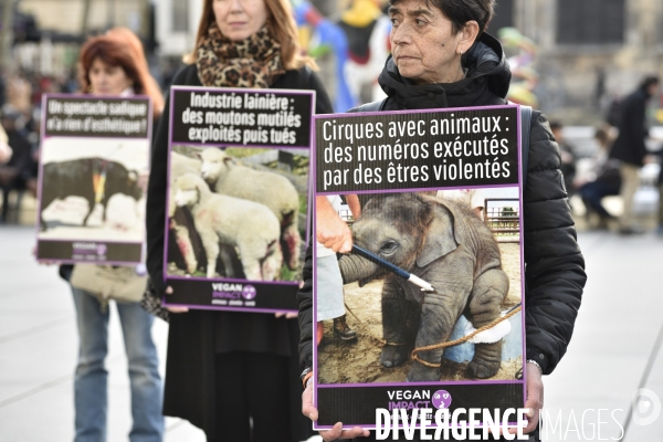 Action cause animale. Happening vegan Impact. Animals rights