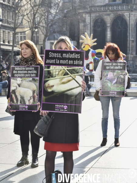 Action cause animale. Happening vegan Impact. Animals rights