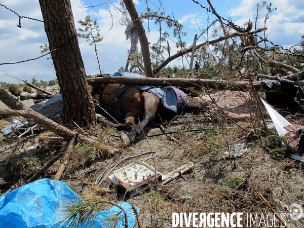 Japon après le tsunami du 11 Mars 2011