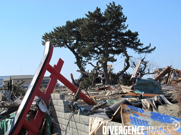 Japon après le tsunami du 11 Mars 2011