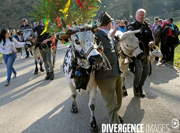 Transhumance aux Buttes Chaumont