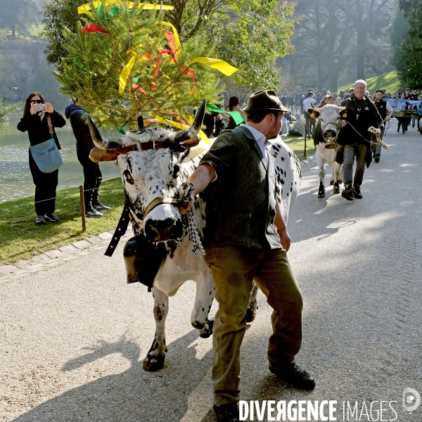 Transhumance aux Buttes Chaumont