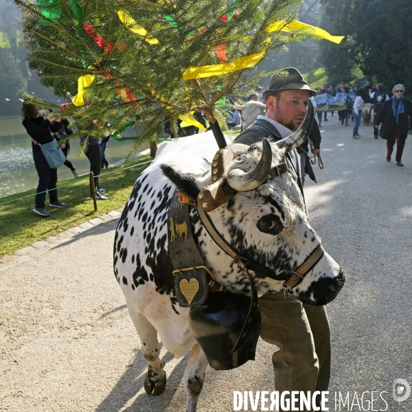 Transhumance aux Buttes Chaumont