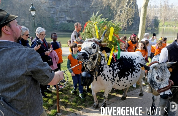 Transhumance aux Buttes Chaumont