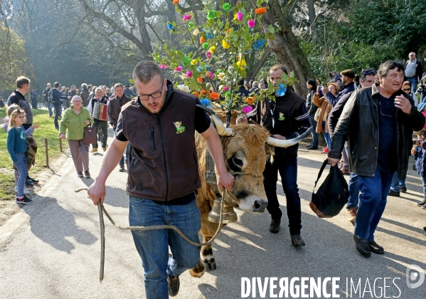 Transhumance aux Buttes Chaumont