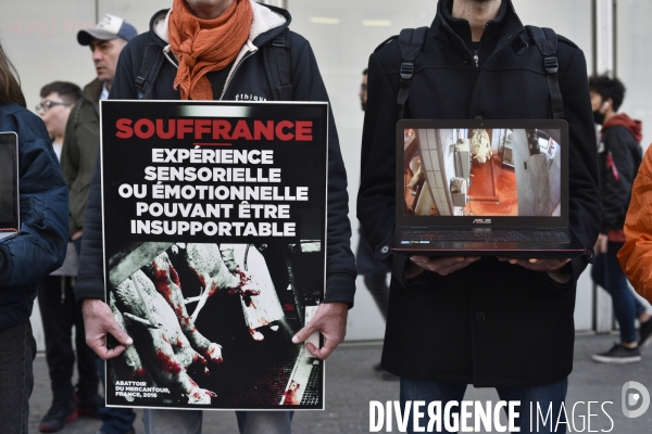 Cause animale : Action écrans L214   STOP ABATTOIRS  . Animals rights.