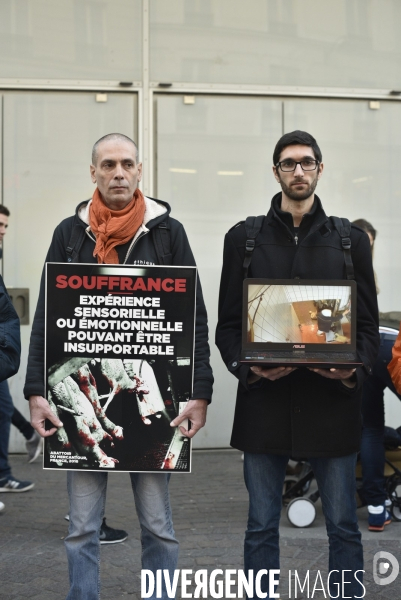 Cause animale : Action écrans L214   STOP ABATTOIRS  . Animals rights.