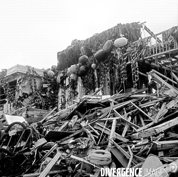 Japon après le tsunami du 11/03/2011
