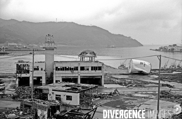 Après le Tsunami au Japon du 11 Mars 2011