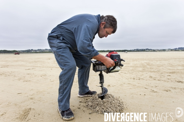 Courses hippiques sur plage à Plouescat