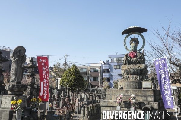 Tokyo ,fevrier 2019