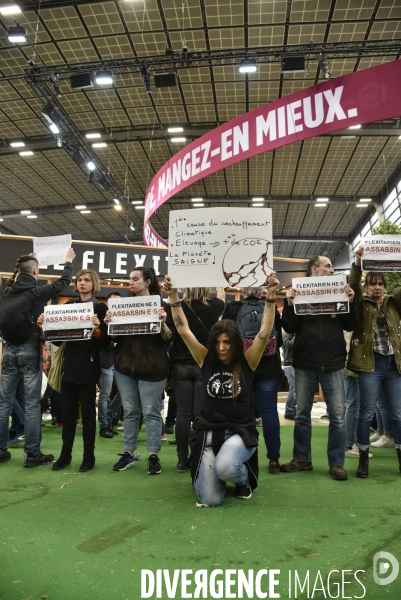 Activistes Vegans au Salon de l Agriculture 2019, devant le stand INTERBEV/FLEXITARIEN. Animals rights