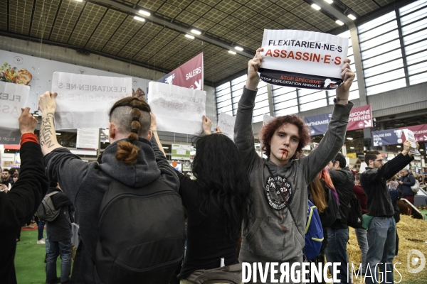 Activistes Vegans au Salon de l Agriculture 2019, devant le stand INTERBEV/FLEXITARIEN. Animals rights