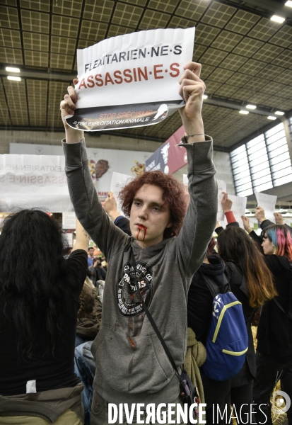 Activistes Vegans au Salon de l Agriculture 2019, devant le stand INTERBEV/FLEXITARIEN. Animals rights