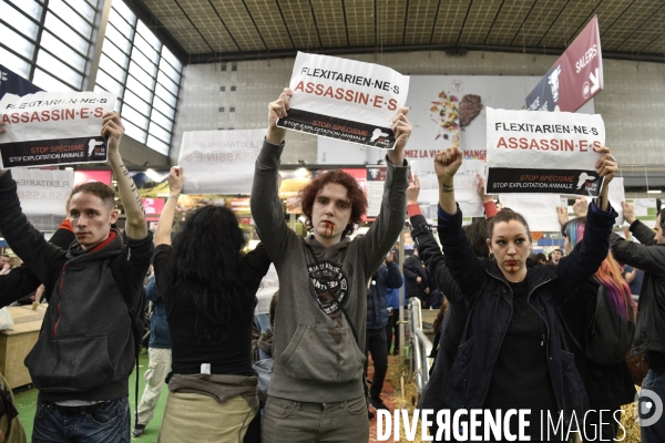 Activistes Vegans au Salon de l Agriculture 2019, devant le stand INTERBEV/FLEXITARIEN. Animals rights