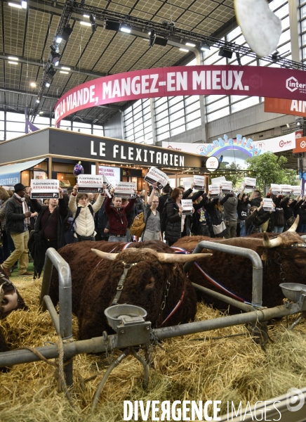 Activistes Vegans au Salon de l Agriculture 2019, devant le stand INTERBEV/FLEXITARIEN. Animals rights