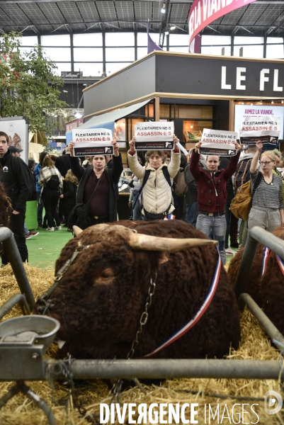 Activistes Vegans au Salon de l Agriculture 2019, devant le stand INTERBEV/FLEXITARIEN. Animals rights