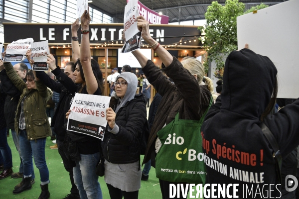 Activistes Vegans au Salon de l Agriculture 2019, devant le stand INTERBEV/FLEXITARIEN. Animals rights