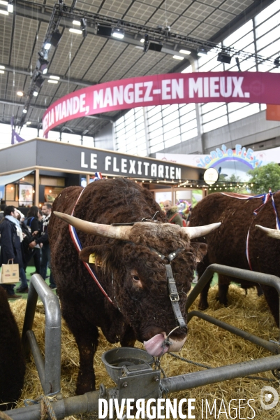 Salon de l Agriculture à Paris. Agricultural show in Paris.