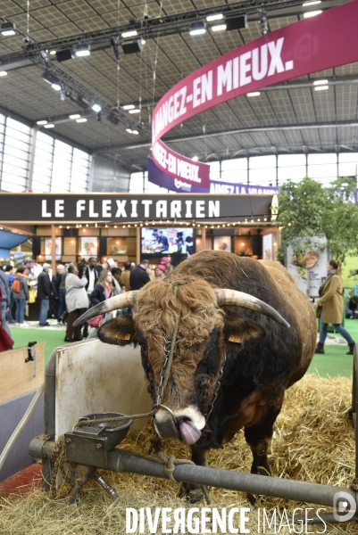 Salon de l Agriculture à Paris. Agricultural show in Paris.