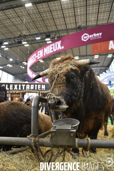 Salon de l Agriculture à Paris. Agricultural show in Paris.