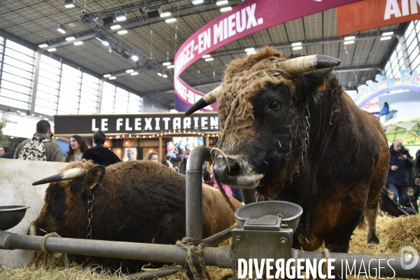 Salon de l Agriculture à Paris. Agricultural show in Paris.