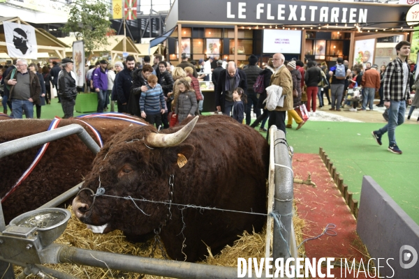 Salon de l Agriculture à Paris. Agricultural show in Paris.