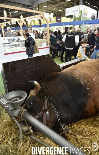 Salon de l Agriculture à Paris. Agricultural show in Paris.