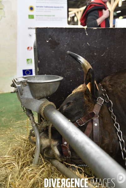 Salon de l Agriculture à Paris. Agricultural show in Paris.