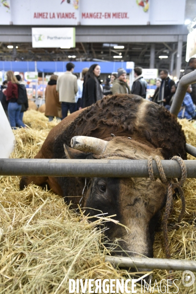 Salon de l Agriculture à Paris. Agricultural show in Paris.