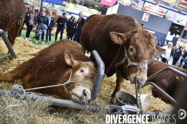 Salon de l Agriculture à Paris. Agricultural show in Paris.