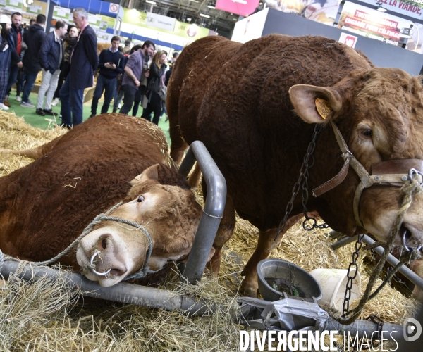 Salon de l Agriculture à Paris. Agricultural show in Paris.