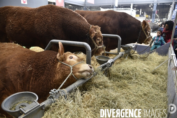 Salon de l Agriculture à Paris. Agricultural show in Paris.