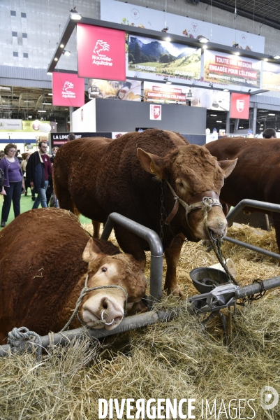 Salon de l Agriculture à Paris. Agricultural show in Paris.