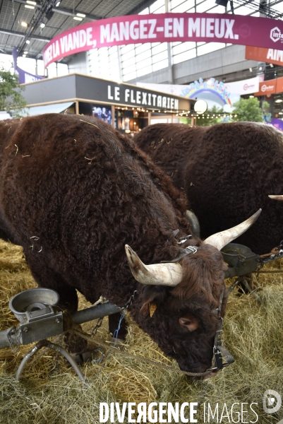 Salon de l Agriculture à Paris. Agricultural show in Paris.