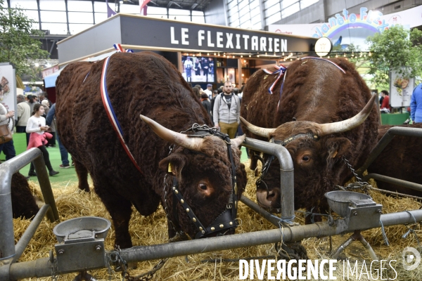 Salon de l Agriculture à Paris. Agricultural show in Paris.