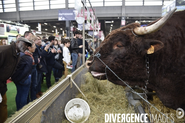 Salon de l Agriculture à Paris. Agricultural show in Paris.