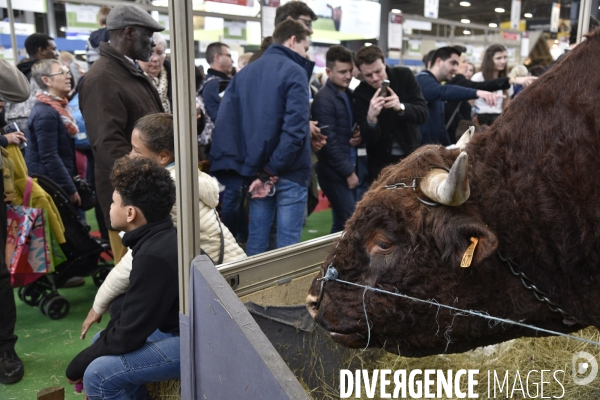 Salon de l Agriculture à Paris. Agricultural show in Paris.