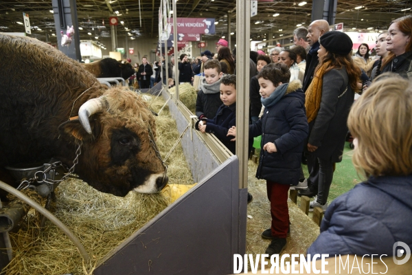 Salon de l Agriculture à Paris. Agricultural show in Paris.