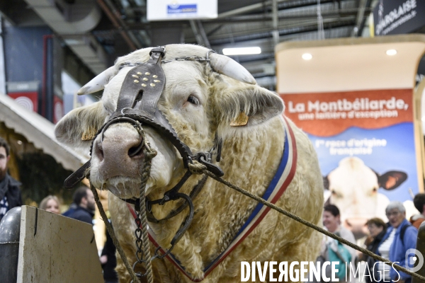 Salon de l Agriculture à Paris. Agricultural show in Paris.