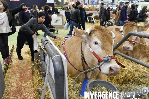 Salon de l Agriculture à Paris. Agricultural show in Paris.