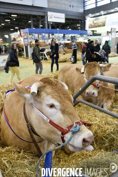 Salon de l Agriculture à Paris. Agricultural show in Paris.