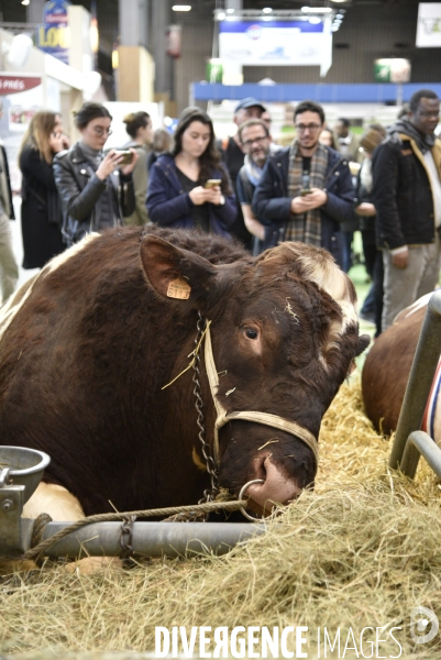 Salon de l Agriculture à Paris. Agricultural show in Paris.