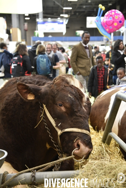 Salon de l Agriculture à Paris. Agricultural show in Paris.