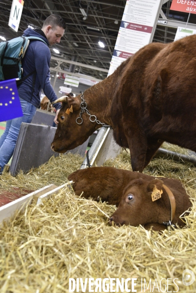 Salon de l Agriculture à Paris. Agricultural show in Paris.