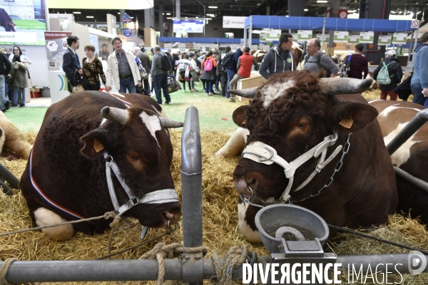 Salon de l Agriculture à Paris. Agricultural show in Paris.