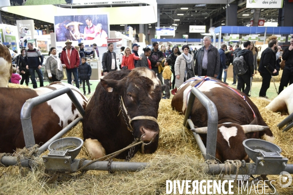 Salon de l Agriculture à Paris. Agricultural show in Paris.